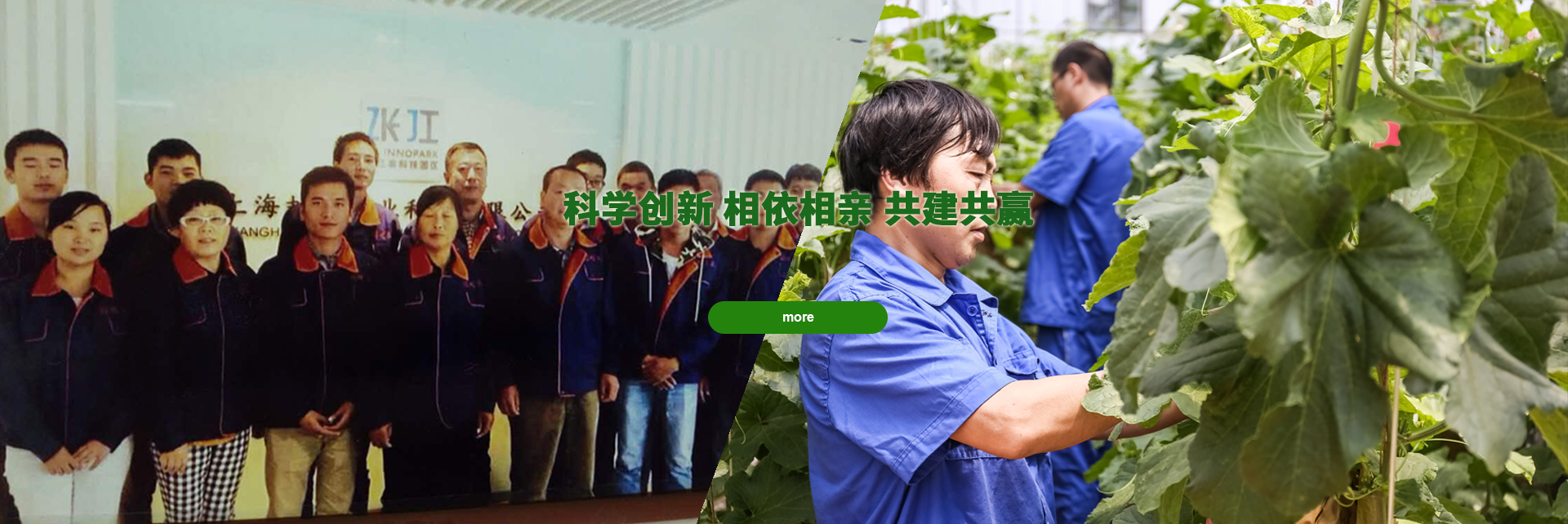 头号玩家下载
