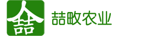 产品与伙伴 - 头号玩家下载